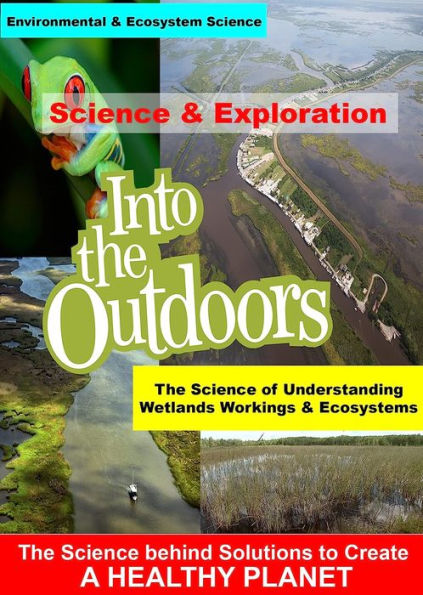 Into the Outdoors: The Science of Understanding Wetlands Workings & Ecosystems