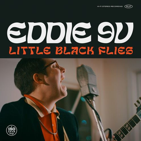 Little Black Flies