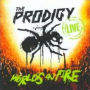 World's on Fire [Live]