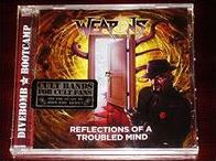 Reflections of a Troubled Mind