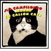 Title: Jim Campilongo & the 10 Gallon Cats, Artist: Jim Campilongo