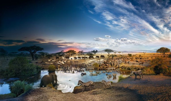 Stephen Wilkes Serengeti National Park, Day to Night 1000 Piece Puzzle