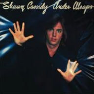 Title: Under Wraps, Artist: Shaun Cassidy