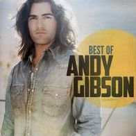 Best of Andy Gibson