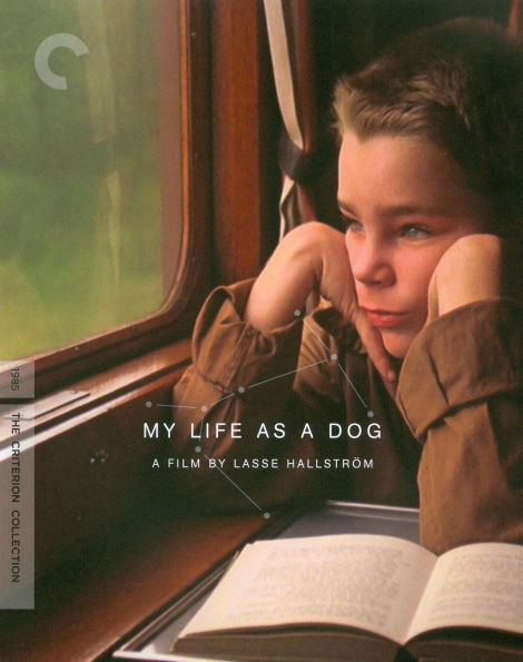 My Life as a Dog [Criterion Collection] [Blu-ray]