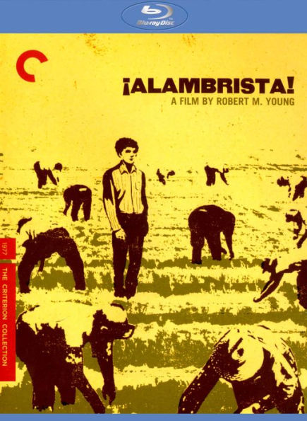 Alambrista! [Criterion Collection] [Blu-ray]