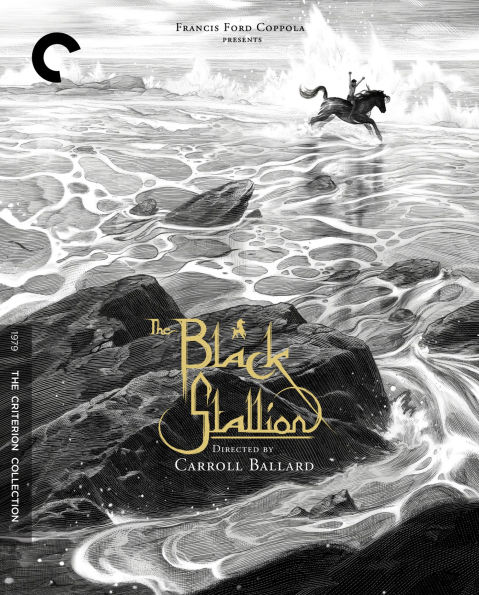 The Black Stallion [Criterion Collection] [Blu-ray]