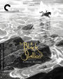 The Black Stallion [Criterion Collection] [Blu-ray]
