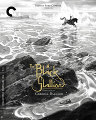 Title: The Black Stallion [Criterion Collection]