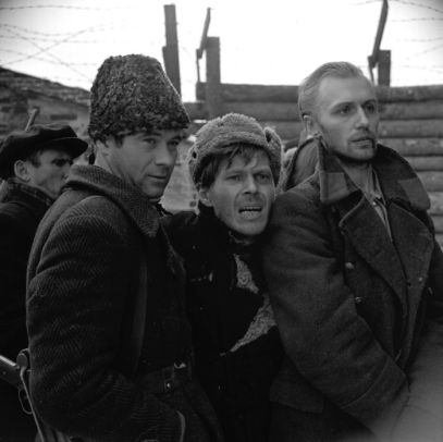 The The Ascent A Film By Shepitko The Criterion Collection By Larisa Shepitko Boris Plotnikov Vladimir Gostyukhin Sergei S Yakovlev Blu Ray Barnes Noble