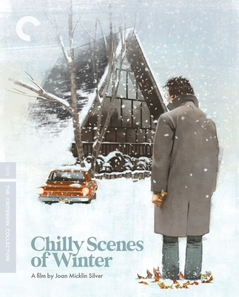 Chilly Scenes of Winter [Blu-ray] [Criterion Collection]