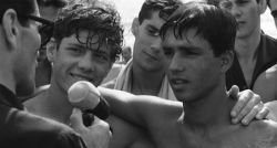 Alternative view 4 of Pasolini 101 [Blu-ray] [Criterion Collection]