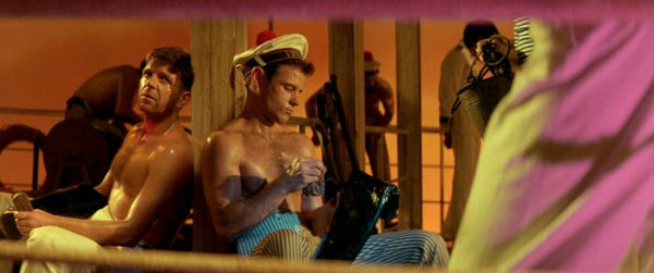 Querelle [Criterion Collection]