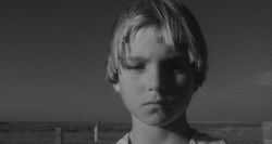 Alternative view 2 of Paper Moon (Criterion Collection) [Blu-ray]