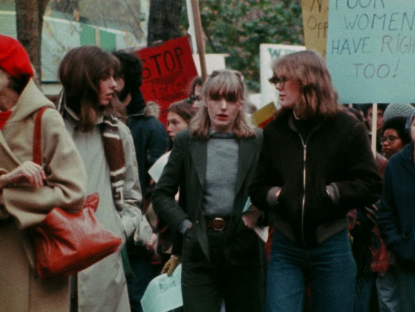 Born in Flames [Blu-ray]