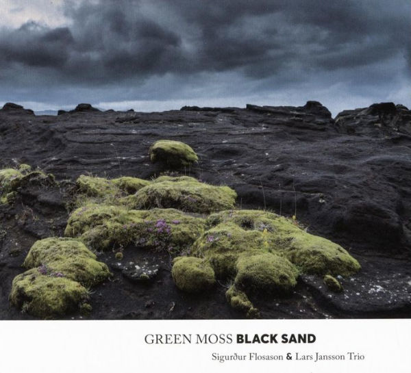 Green Moss, Black Sand