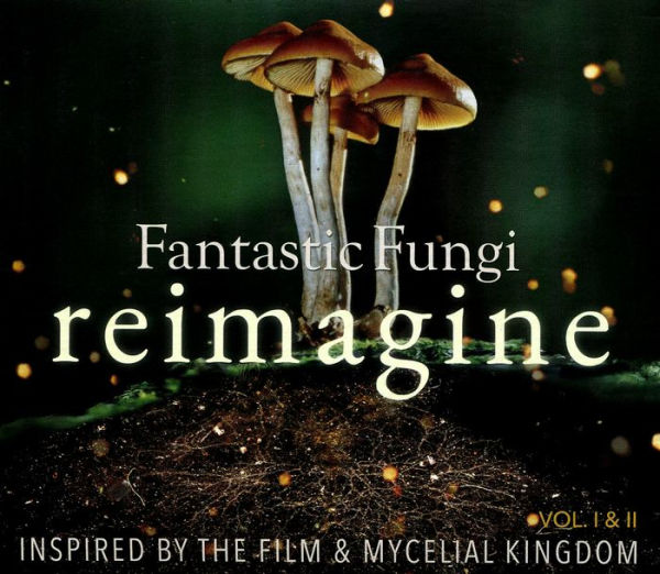 Fantastic Fungi: Reimagine