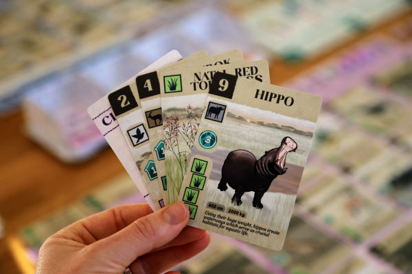 Kavango by Matt Brown, Zara Reid