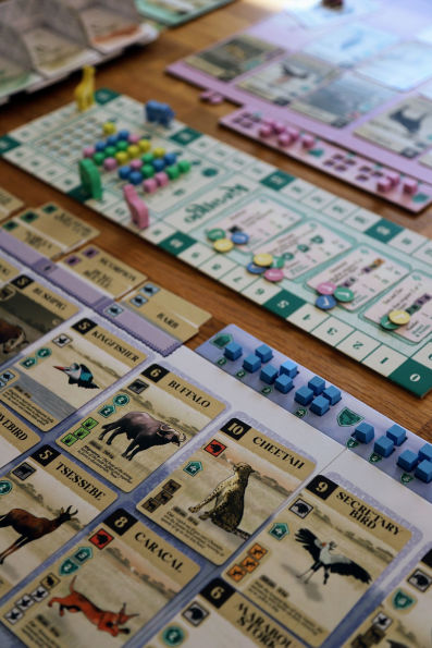 Kavango by Matt Brown, Zara Reid