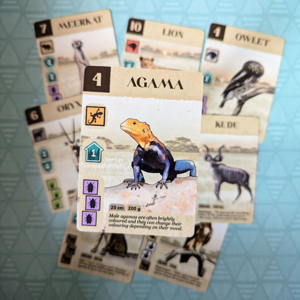 Kavango by Matt Brown, Zara Reid