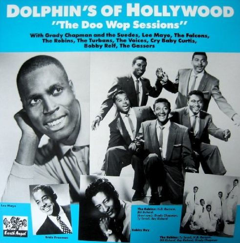 Dolphin's of Hollywood