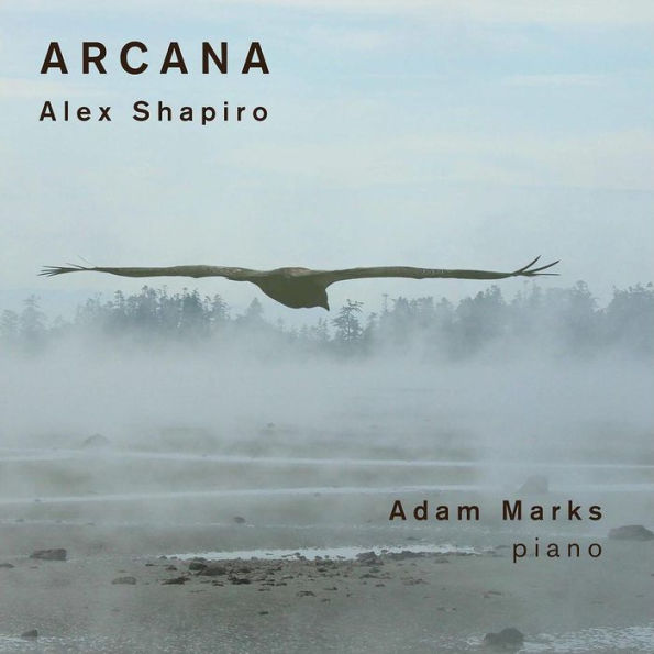 Alex Shapiro: Arcana