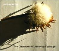 The Character of American Sunlight