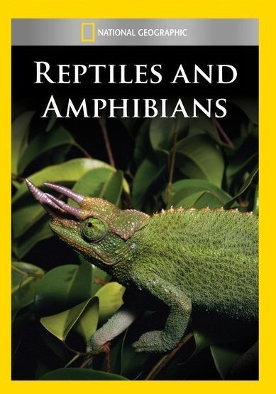 National Geographic: Reptiles and Amphibians