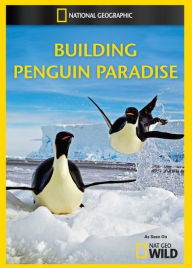 Title: Building Penguin Paradise