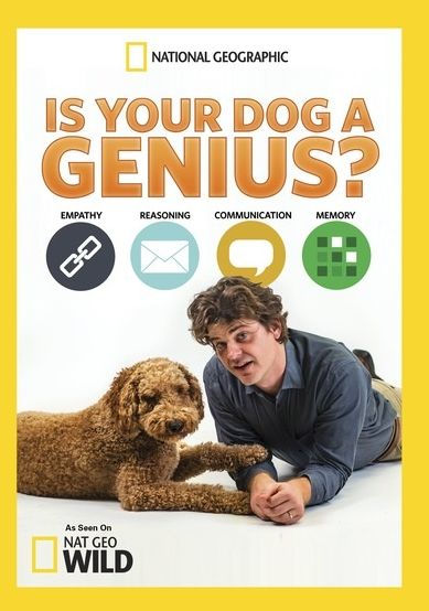 Is Your Dog a Genius?