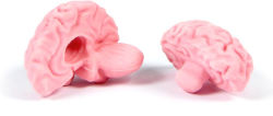 Alternative view 2 of Think Again Brain Eraser
