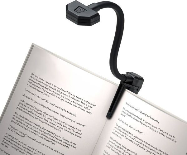 WITHit Spike Light - Black