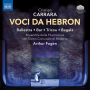 Cristian Carrara: Voci da Hebron