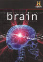 Brain