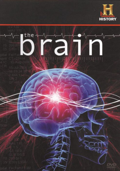 The Brain