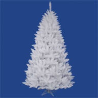 Title: Crystal White Spruce 54