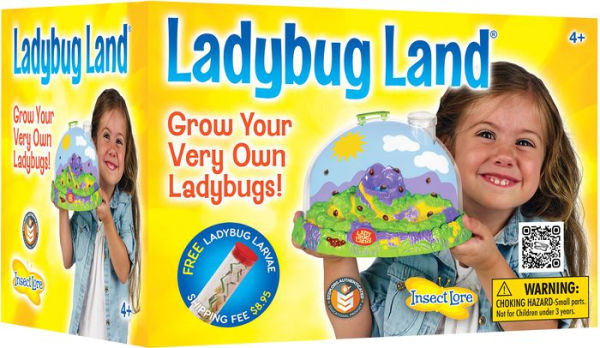 Insect Lore Ladybug Land Growing Kit with Voucher