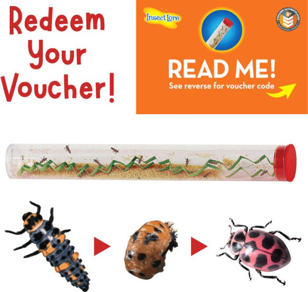 Insect Lore Ladybug Land Growing Kit with Voucher by Insect Lore