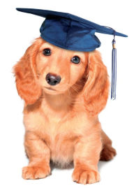 Graduation Greeting Card Dog With Cap