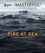 Fire at Sea [Blu-ray]