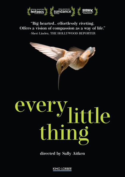 Every Little Thing by Sally Aitken, Sally Aitken | DVD