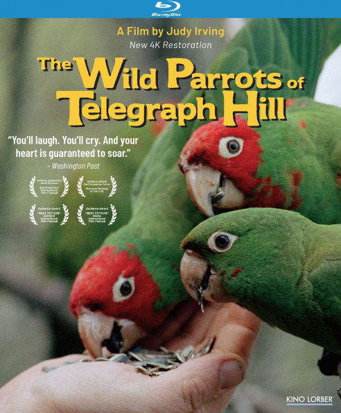 The Wild Parrots of Telegraph Hill [Blu-ray]