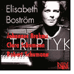 Elisabeth Boström: Triptyk