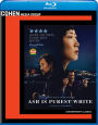 Ash is the Purest White [Blu-ray]