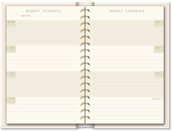 Blue Aster Undated Planner