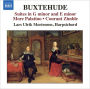 Buxtehude: Suites in G minor & E minor; More Palatino; Courant Zimble