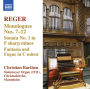 Reger: Monologues Nos. 7-12; Sonata No. 1; Fantasia and Fugue