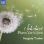 Schubert: Piano Variations