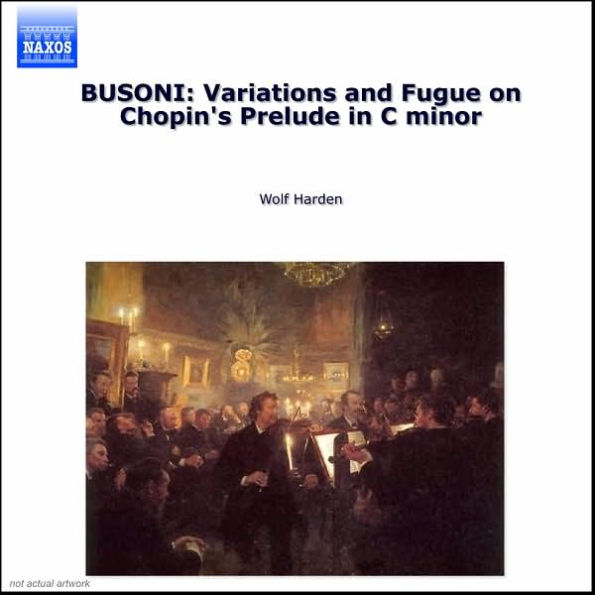 Busoni: Piano Music, Vol. 2