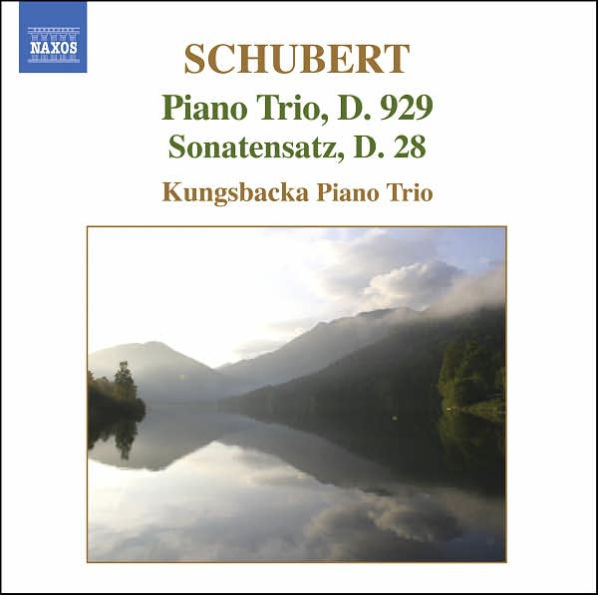 Schubert: Piano Trio, D. 929; Sonatensatz, D. 28